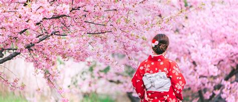 Kyoto nude tit in Public Porntube